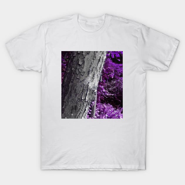 A walk through the wood T-Shirt by Odisential